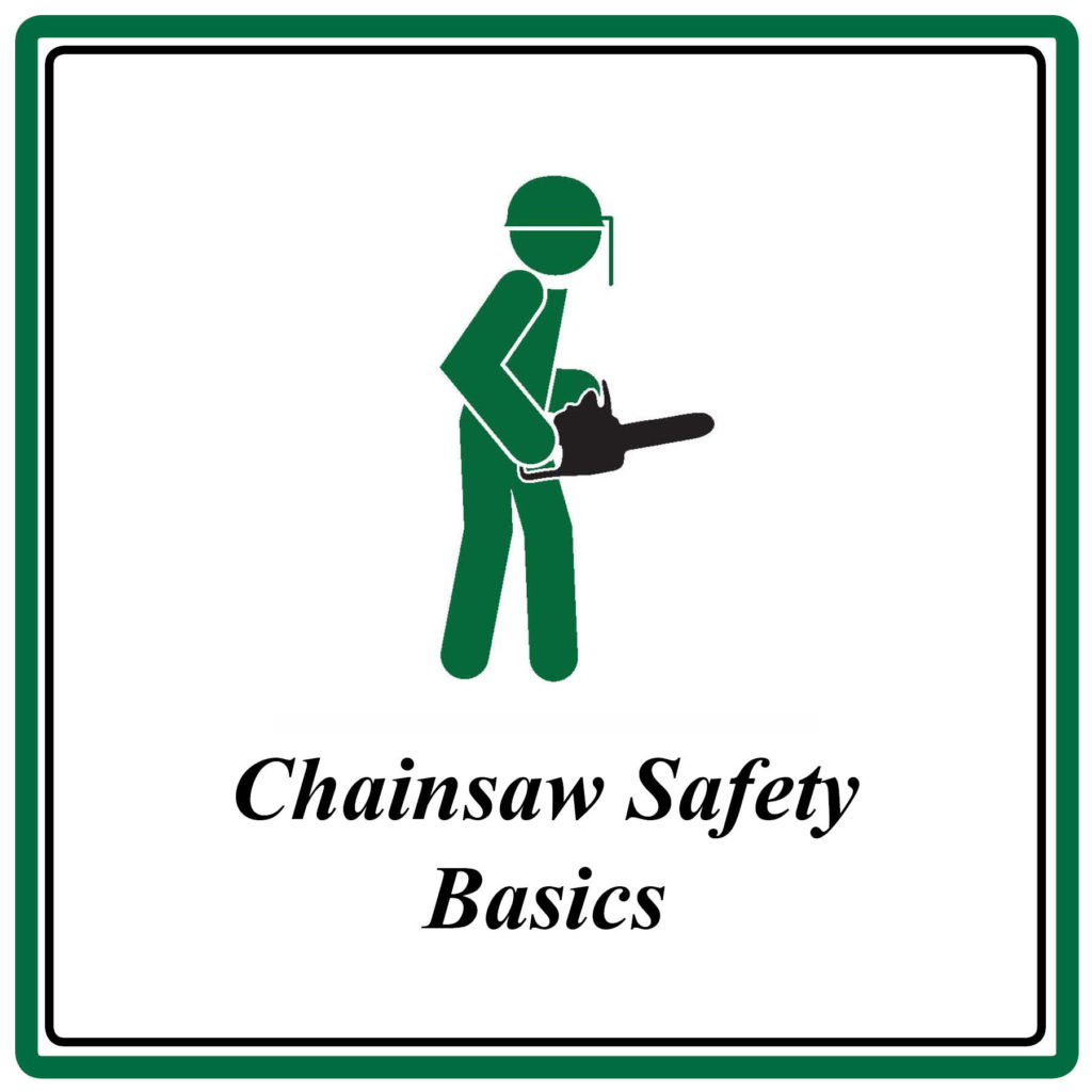 Legal Requirements For Chainsaw Use at Cira Grantham blog